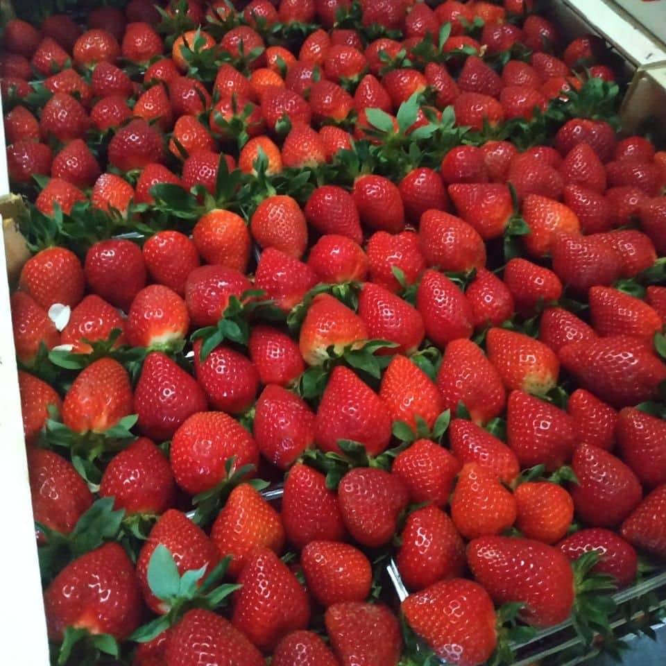 A full crate of strawberries ready for dispatch